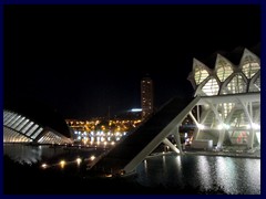 City of Arts and Sciences by night 34